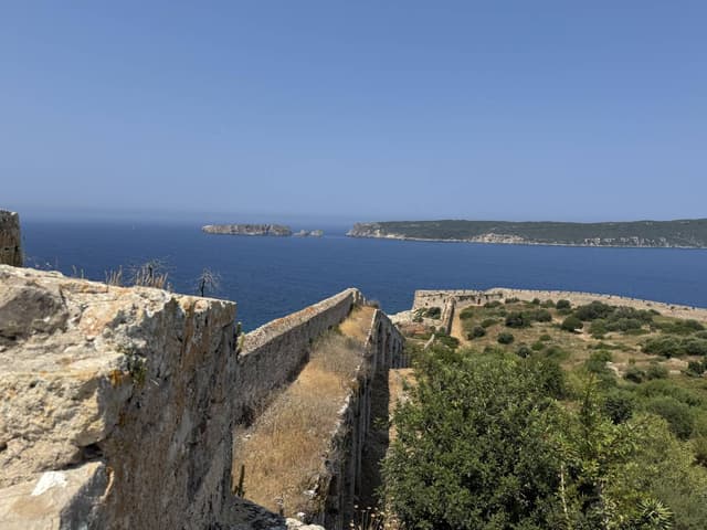 Photo 1 by Daniela S. (6/17/25)