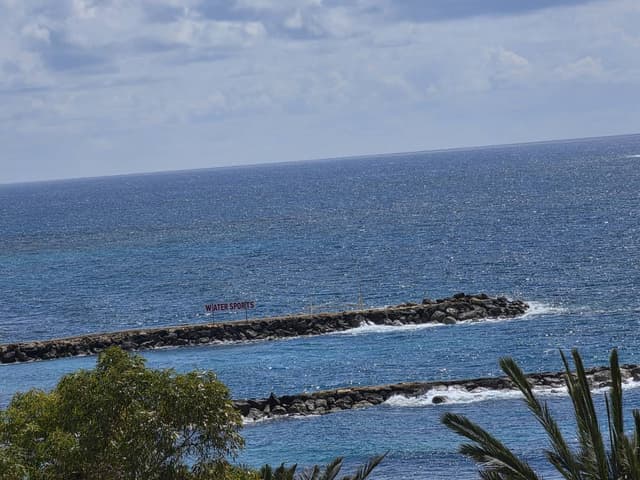 Photo 2 by Martin R. (3/28/26)