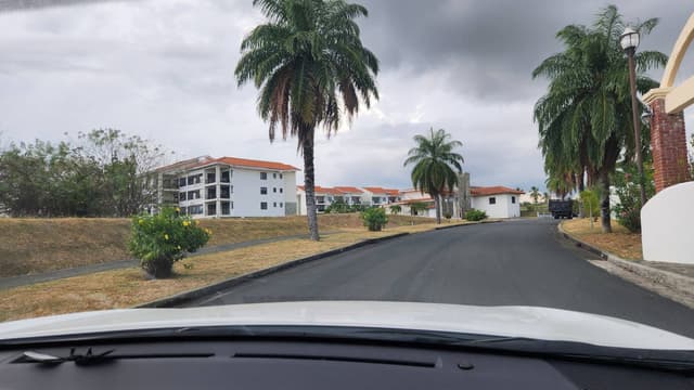 Foto de DAMARIS M. (24/2/26)