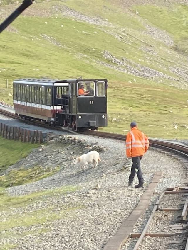 Photo by Roslyn T. (8/28/24)