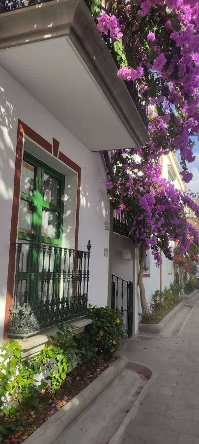 Foto 6 de Jose Manuel P. (20/11/25)