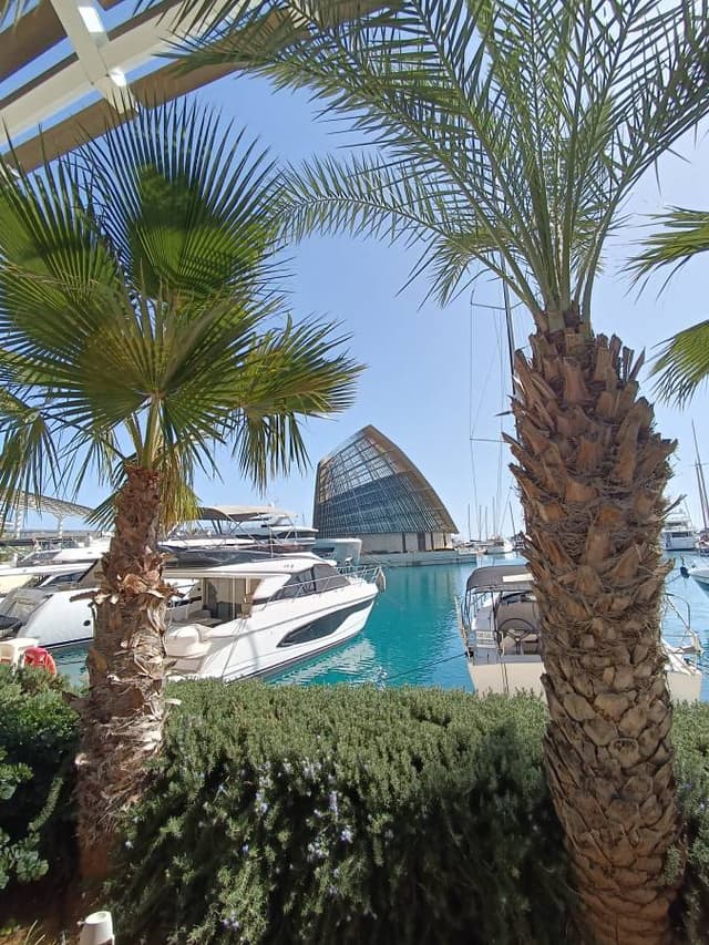 Zdjęcie 1 wykonane przez Grzegorz S. (27.02.26)