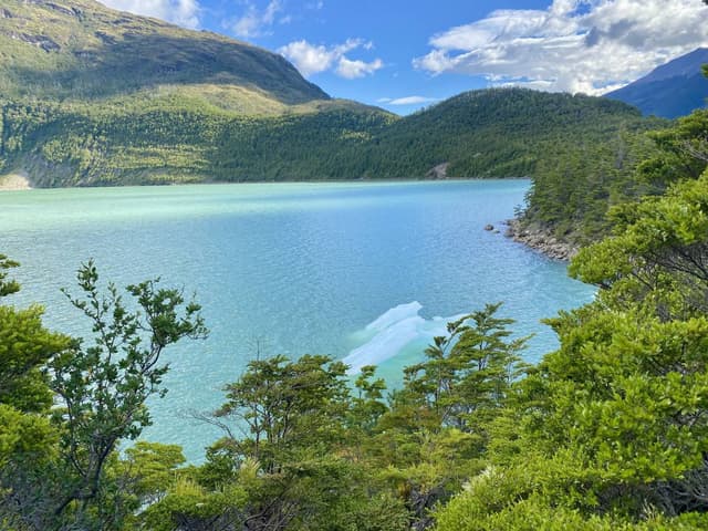 Foto 2 de Gabriela F. (30/1/26)