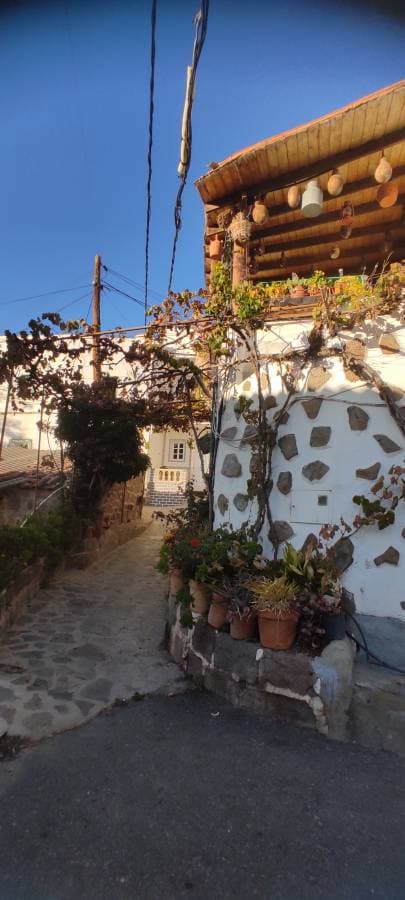 Foto 8 de Jose Manuel P. (20/11/25)