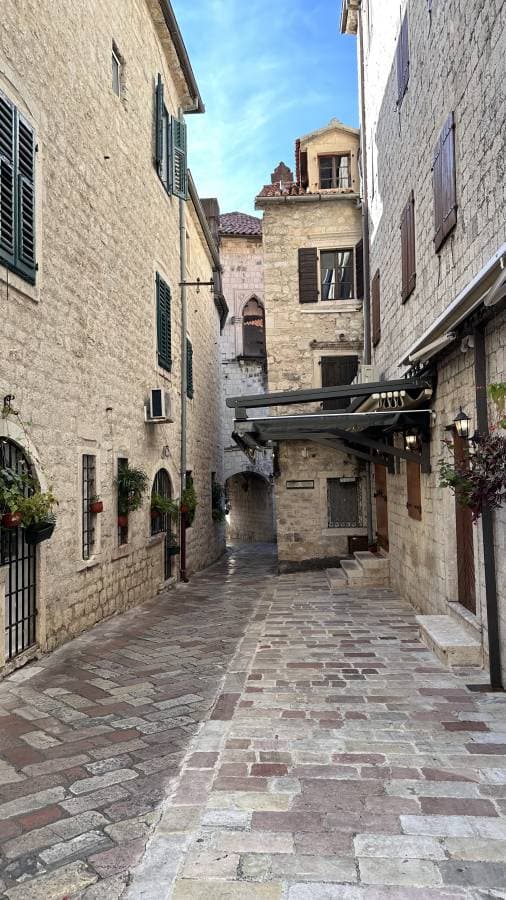 Figen S. tarafından 2 fotoğraf (16.11.24)