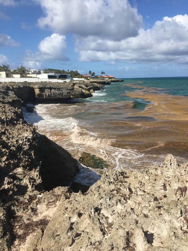 Photo 1 by Margaret B. about hiring a Suzuki Ertiga at Bridgetown Airport (29.03.23)