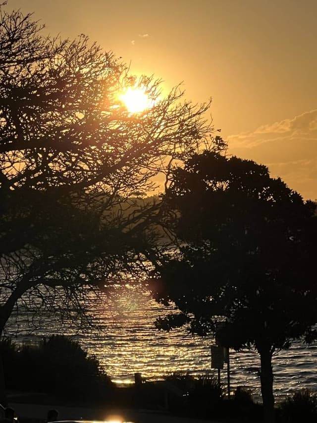 Photo 1 by Jodie B. about renting a Kia Stonic in Sydney (7/24/24)
