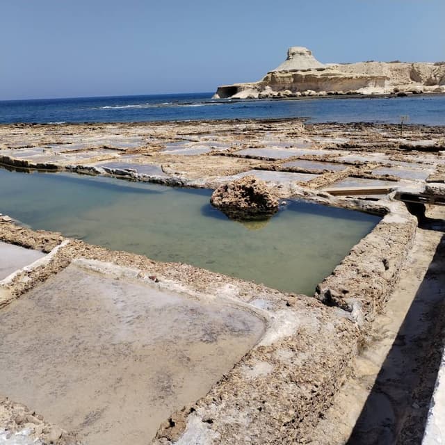 Foto 1 di ALBERTO A. (21/08/24)