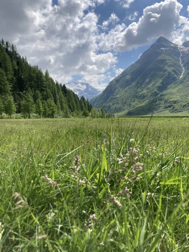 Photo 1 by Ester K. about renting a Toyota Aygo in Vienna (6/16/23)