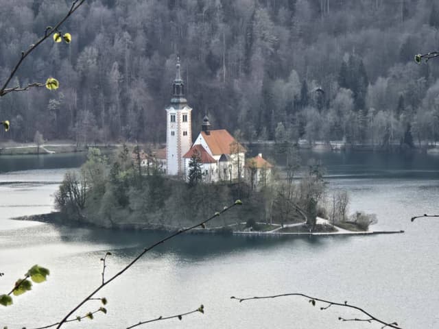 Photo 4 by Stephen P. (4/9/26)