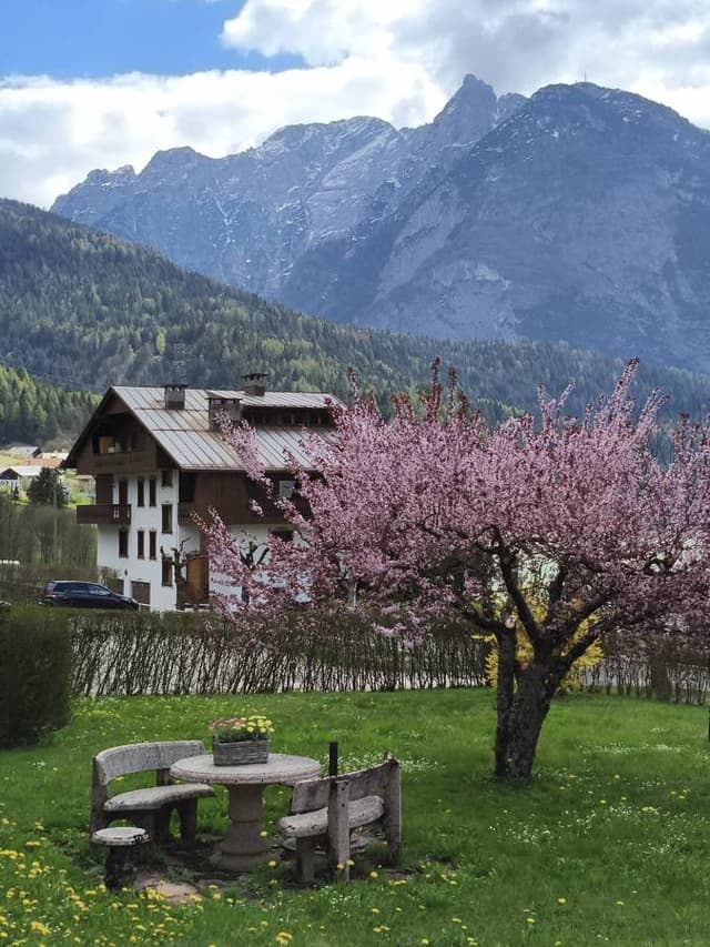 Foto 2 di Erica B. (21/04/26)