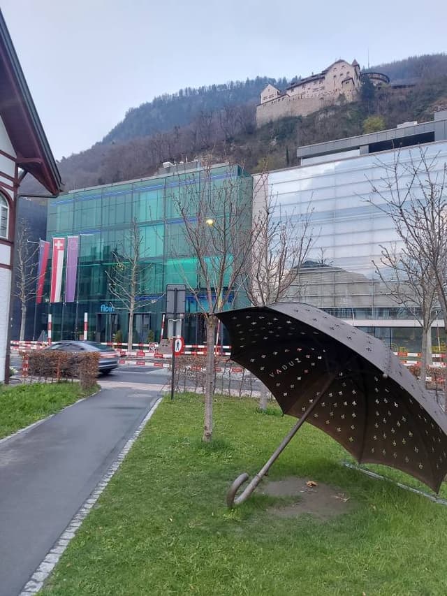 Gabor Tibor T. 4. számú fényképe (26. 03. 25.)