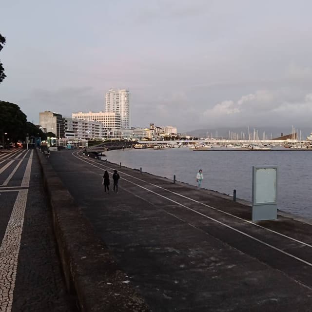 Photo 3 par Claude P. sur la location d'un Peugeot 2008 à Ponta Delgada (26/03/24)