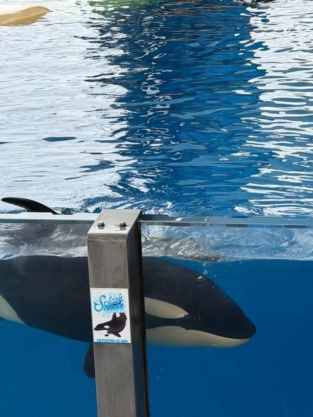 Photo 4 by Jeffery S. about hiring a Volkswagen T-Roc Cabrio in the Canary Islands (14/03/26)