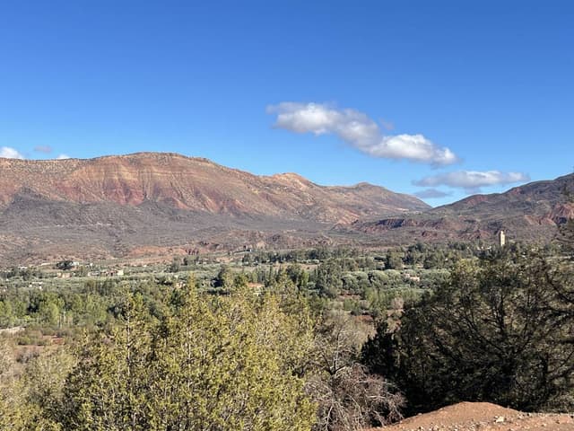 Photo par STEPHANZ P. (16/12/25)