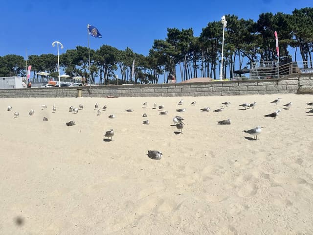 Foto 1 von Yolanda V. (16.8.26)