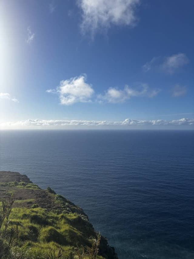 Photo 1 by Adam C. about renting a Fiat New 500 in Madeira (2/17/25)