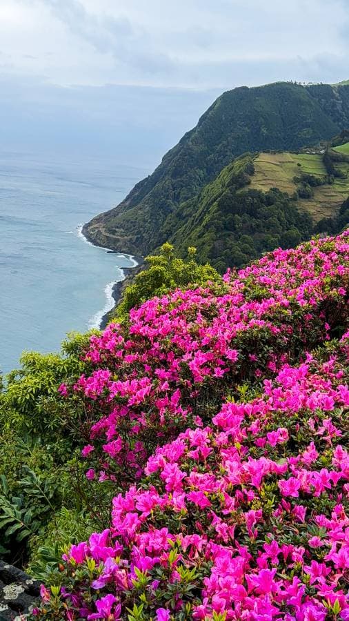 Photo 3 by Krzysztof P. about renting a Seat Arona in Ponta Delgada (3/22/25)
