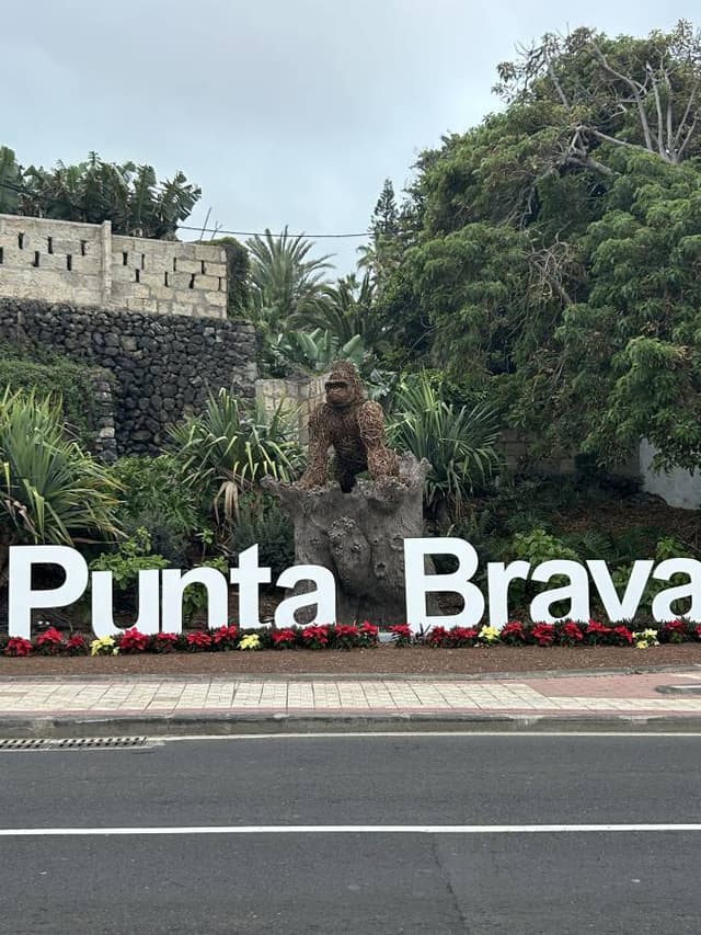 Photo 3 by Arash J. (12/13/25)