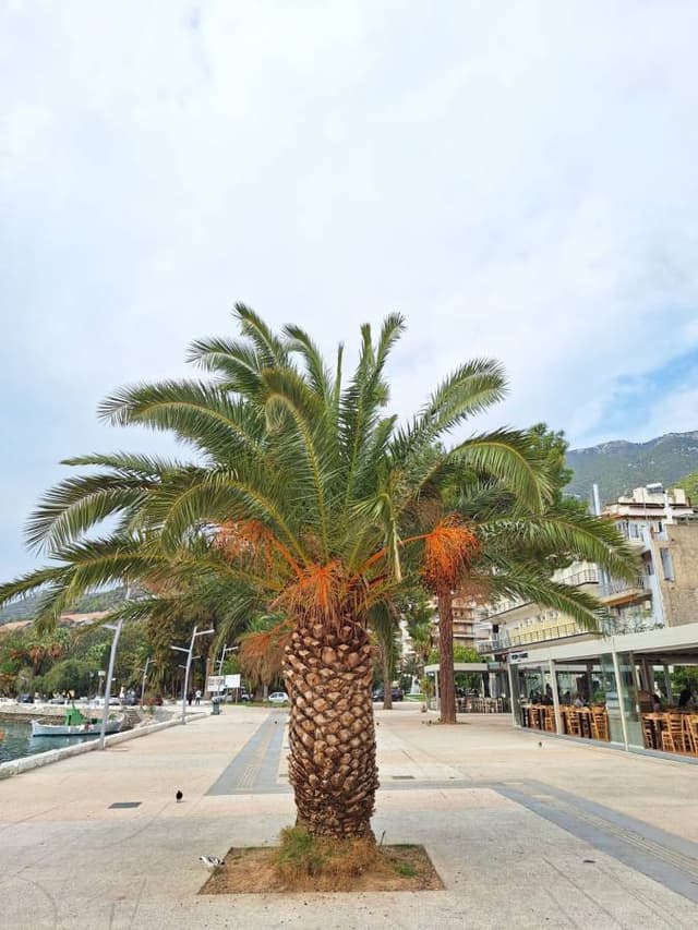 Foto 1 von Stephane C. (17.10.25)