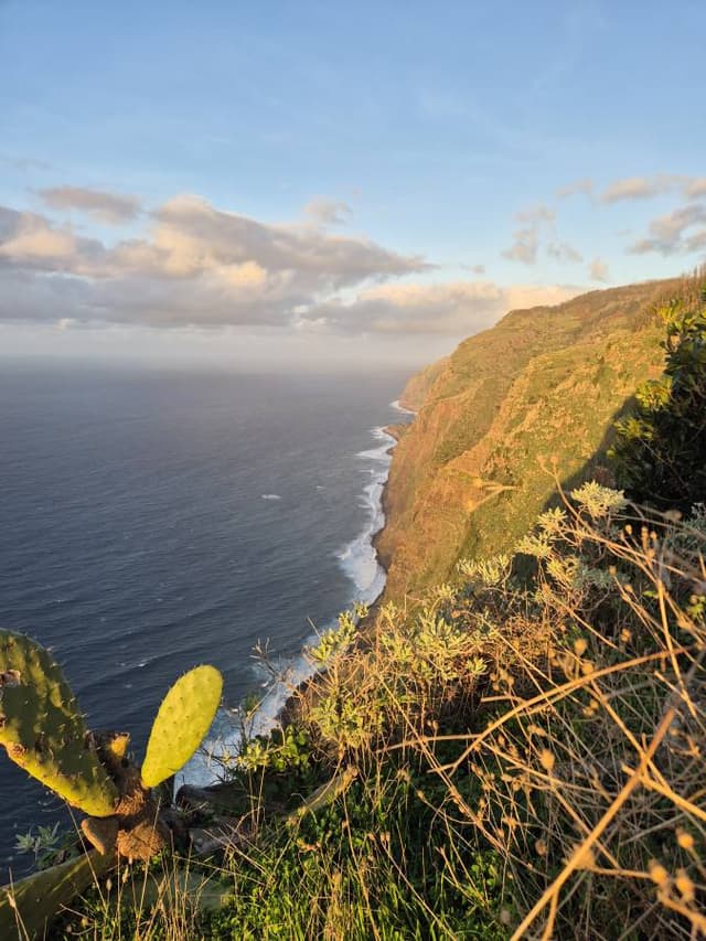 Photo 1 by Gabor S. (12/6/25)