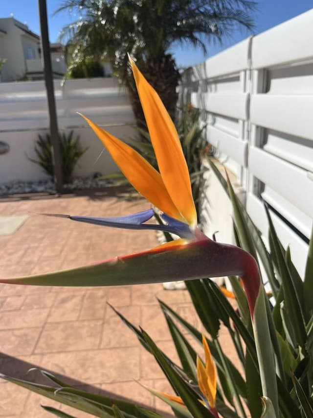 Photo 3 by Michelle M. (4/10/26)