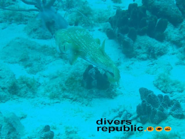 Foto 2 de JUAN GUILLERMO N. (6/1/26)