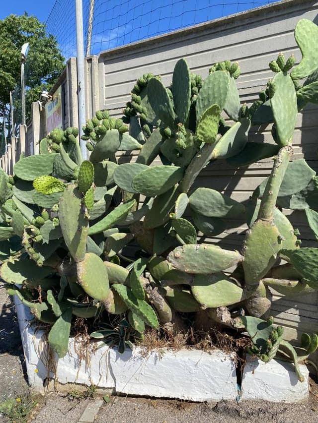 Zdjęcie 1 wykonane przez Marek P. (1.07.24)