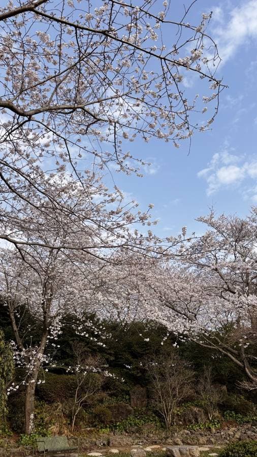 Photo 4 by Mohan S. (4/14/26)