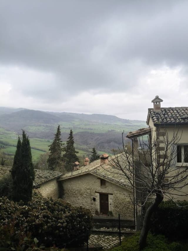 Zdjęcie wykonane przez Anita J. (5.04.25)