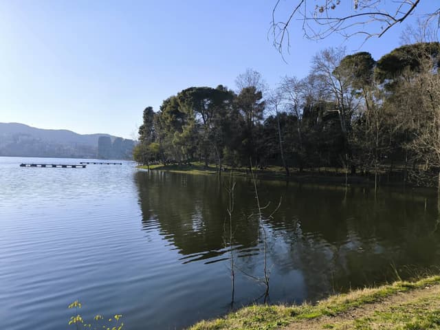 Zdjęcie 2 wykonane przez Jerzy D. (25.01.25)