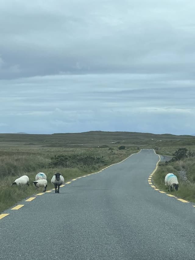 Photo 1 by Victoria D. about renting a Skoda Citigo in Dublin (7/8/24)
