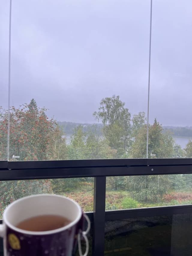 Photo 3 by Alexandra V. about renting a Toyota Yaris in Helsinki (9/17/24)