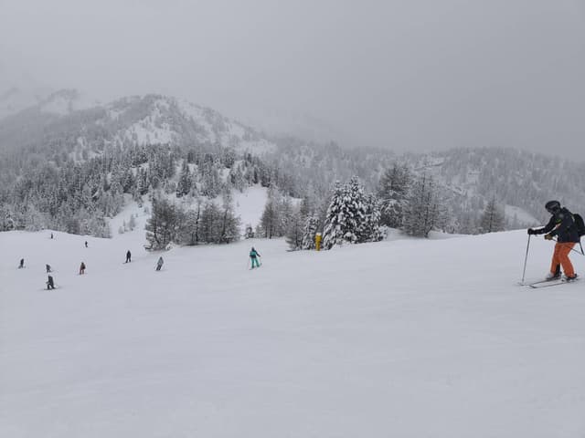 Foto 1 di Francesco D. (18/02/24)