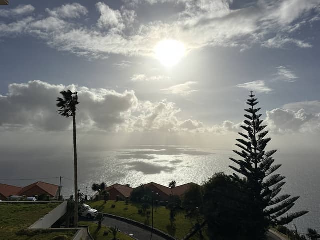 Photo 4 by Sylvie B. (1/28/26)