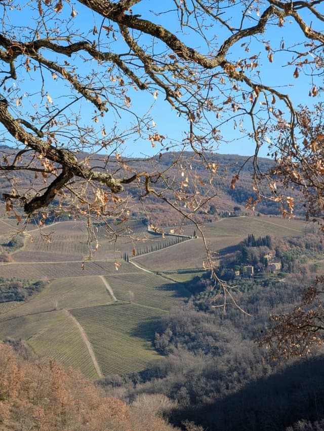 Photo 2 by Kalakota Shravan Kumar R. about hiring a Toyota C-HR at Florence Airport (01/01/25)