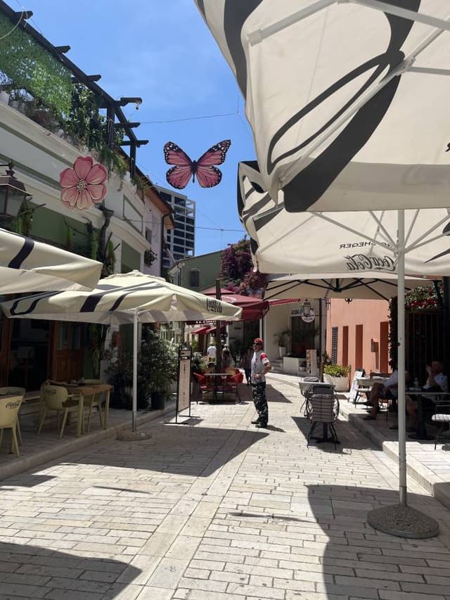 Photo 5 by Victoria R. about hiring a Dacia Sandero Stepway in Tirana (30/06/26)