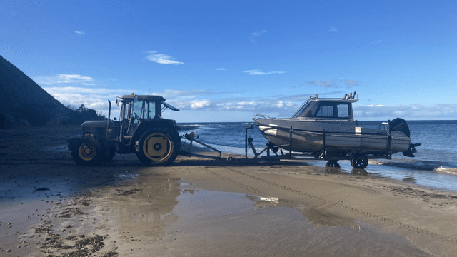 Photo 4 by David C. (12/7/24)