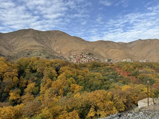 Foto 3 van Fernand D. (10-11-24)