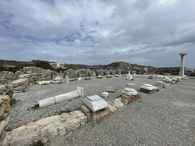 Photo 1 by Joanna H. (4/9/26)