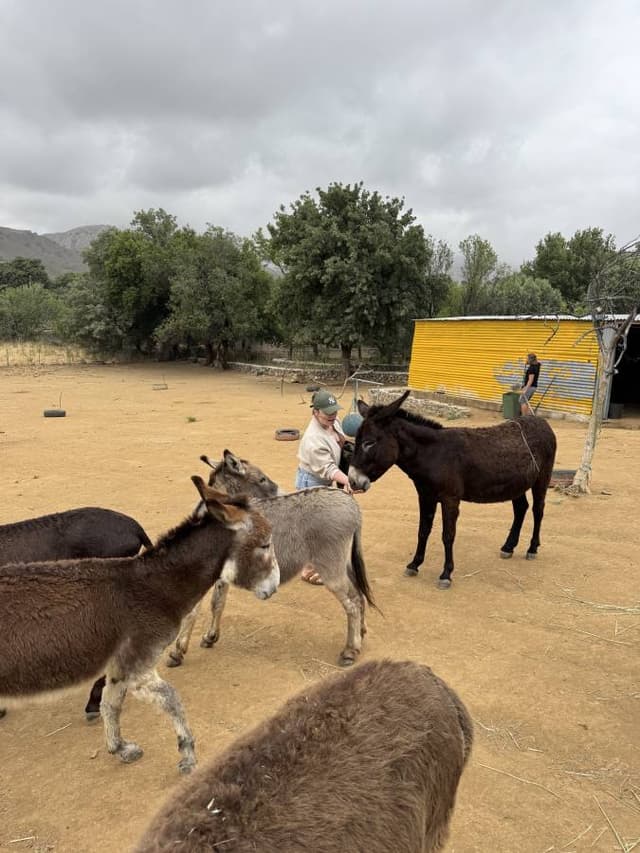 Photo 1 by Steffan P. (5/19/25)