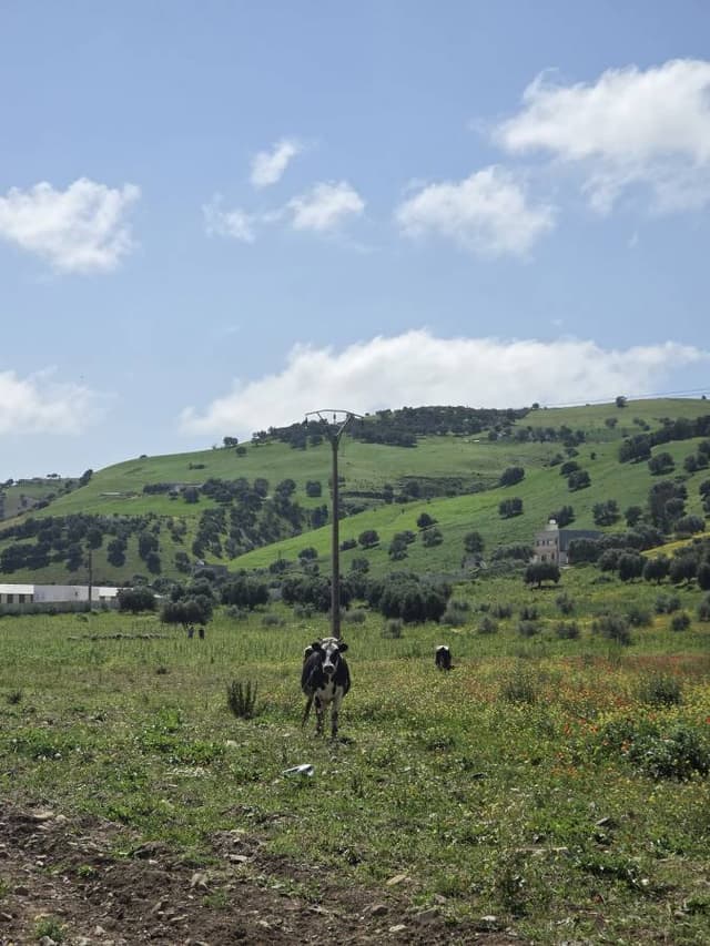 Photo 4 par PIERRE M. (11/04/26)