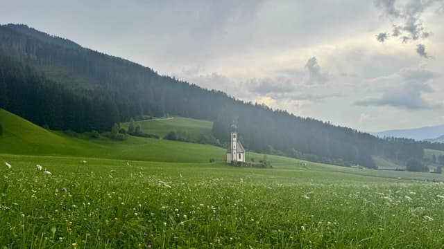 Photo 8 by Asharaf M. (7/5/26)