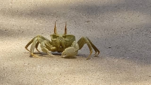 Foto 3 di laura C. (12/10/25)