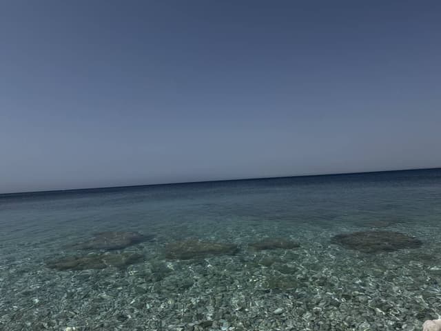 Foto 4 av Ali D. (26-07-30)