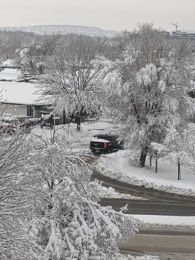 Photo 2 by Sandra D. about renting a Nissan Rogue in Montreal (12/11/23)