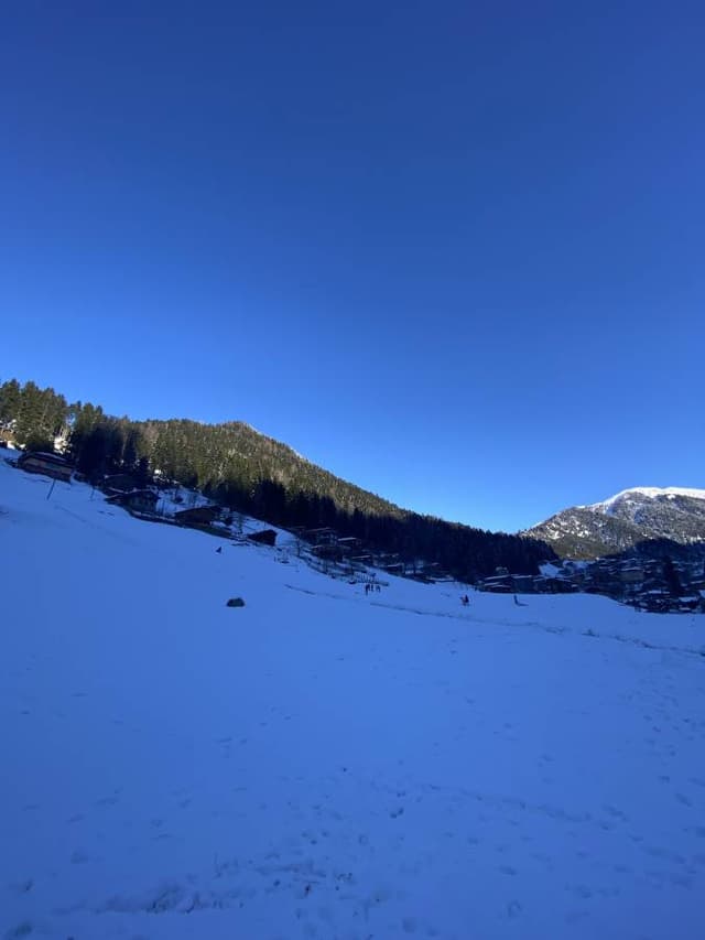 Photo 3 by Mustafa G. (1/8/24)