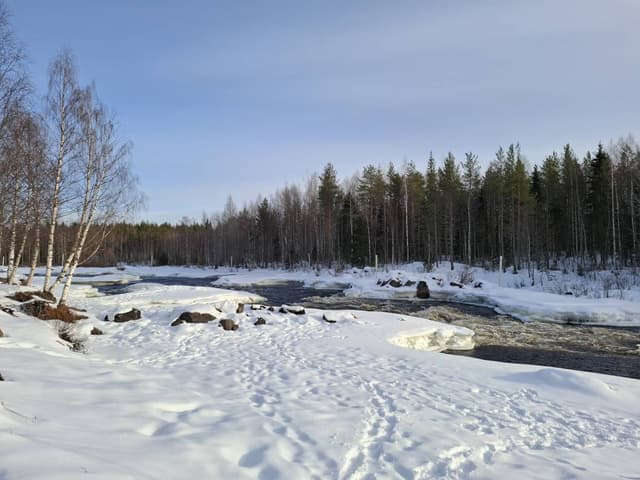 Foto 3 van Kim K. over het huren van een Volkswagen Polo op Rovaniemi luchthaven (13-3-25)