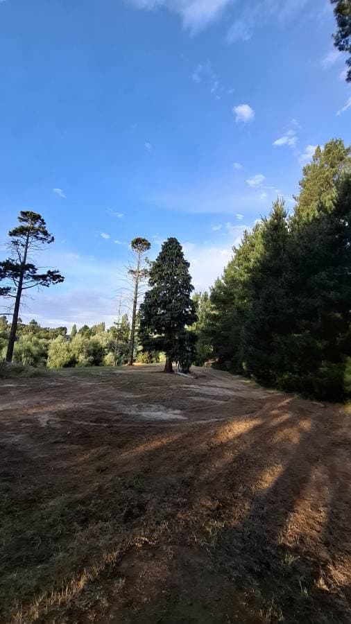 Photo 1 by Supasit M. (1/7/25)