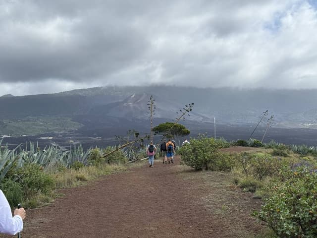 Photo 1 by Juan ma M. (2/12/26)